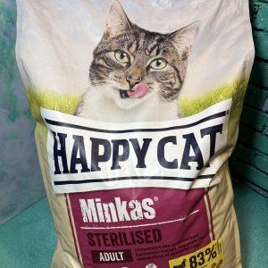 هپی کت عقیم شده گربه آلمان