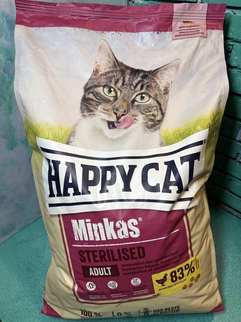 هپی کت عقیم شده گربه آلمان