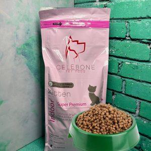 سلبن کیتن گربه (زیر ۶ماه) فَله