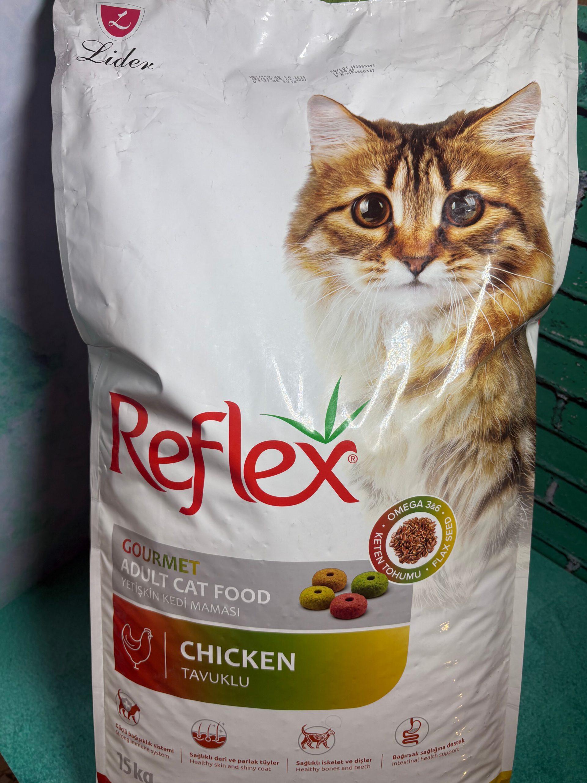 InShot_20260101_023638358