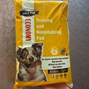 پد ادرار برند GOLD بسته ۱۰ عددی با جذب بسیار بالا